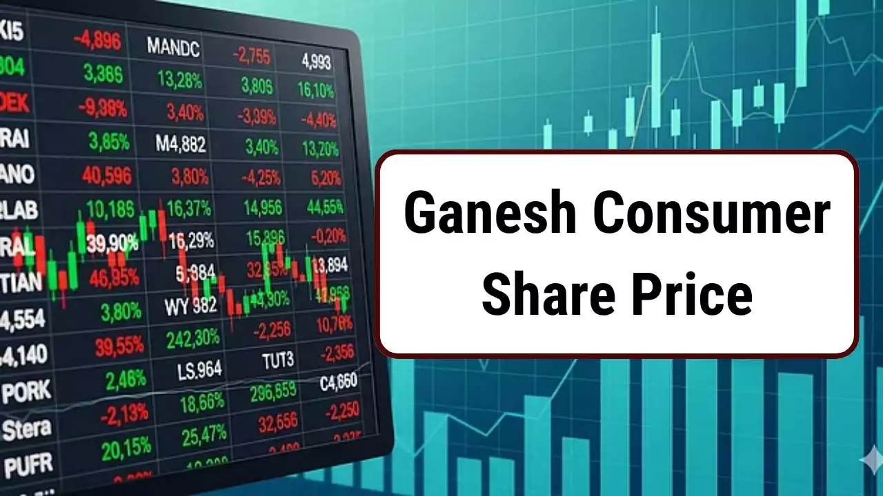 Ganesh Consumer Share Price, IPO Details, Financials, Shareholding Pattern, 2025